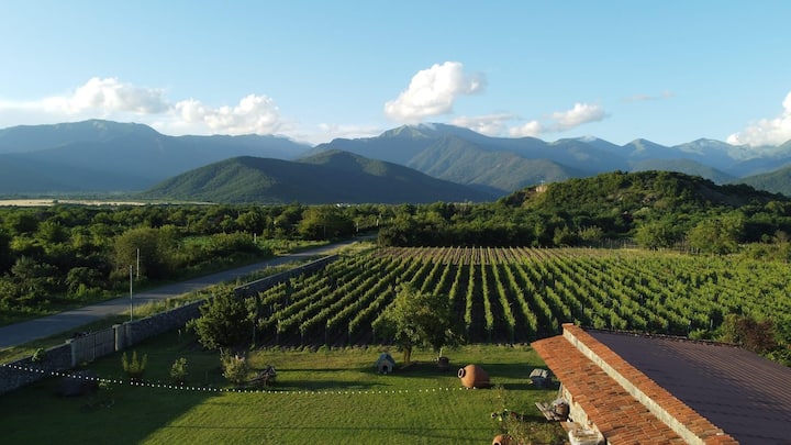 Chubini Winery & Cabins